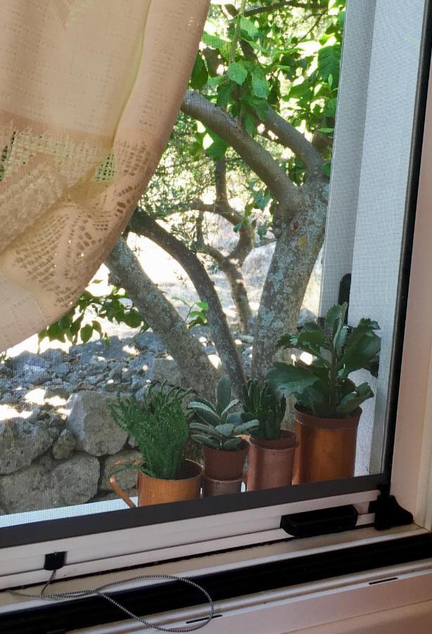 La Casa Di Odyssey Vendégház Davgáta Kültér fotó